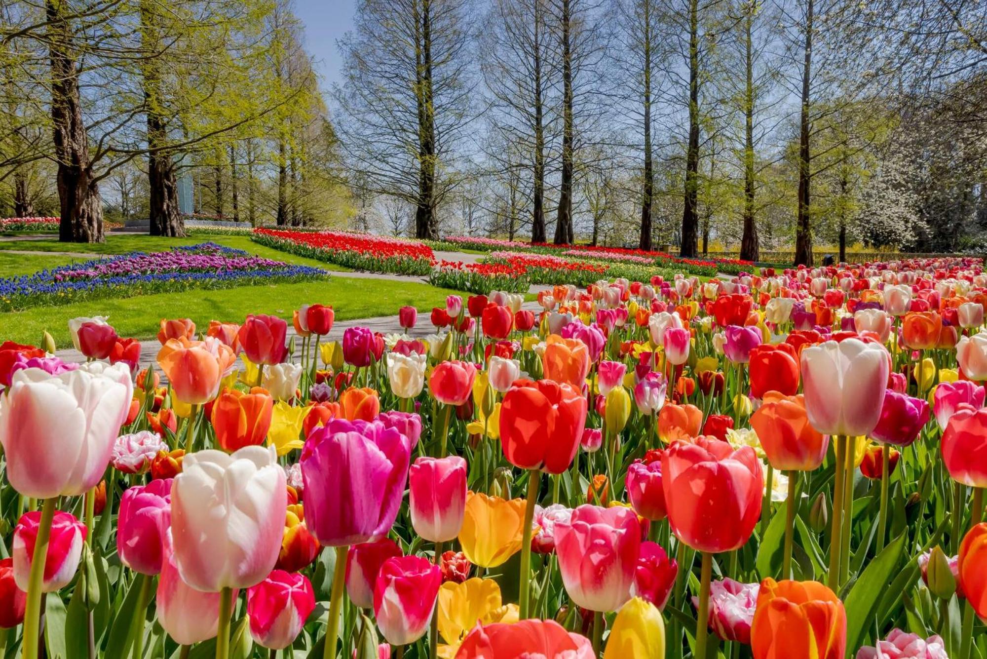 Heerehuys Lisse Villa Bagian luar foto